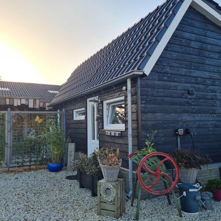 Wellness Chalet Met Jacuzzi, Sauna, Omheinde Tuin, Sint Annaland Exterior foto
